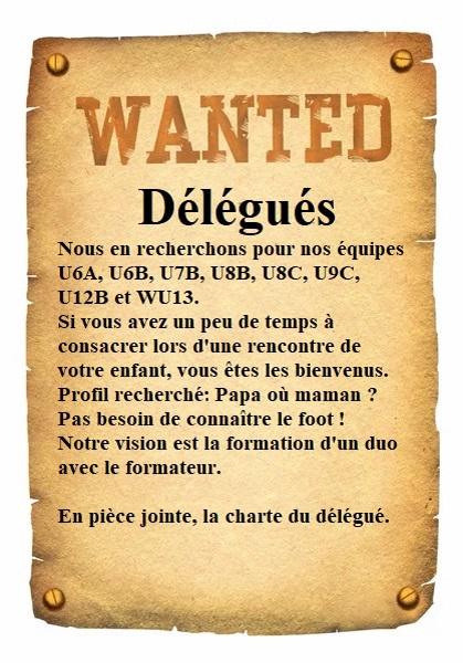 Affiche wanted delegues